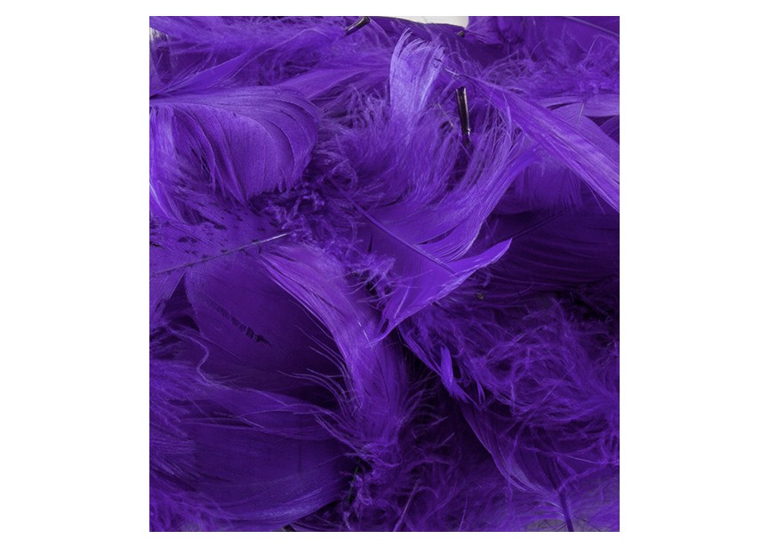 sempertex-europe-balloons-latex-distributor-ballonnen-foil-anagram-betallic-Accesoires-Feathers-purple-