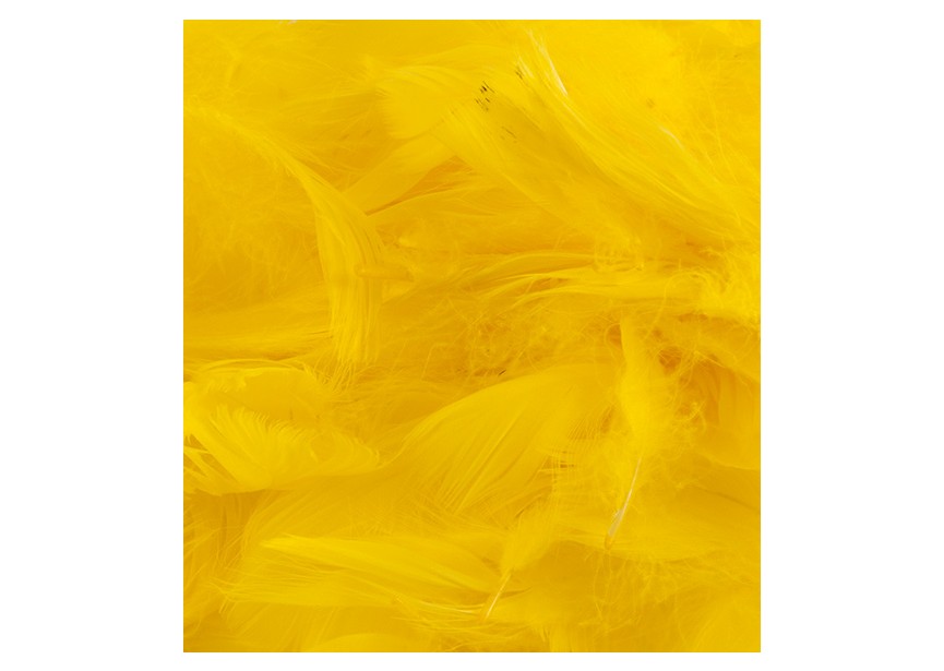 sempertex-europe-balloons-latex-distributor-ballonnen-foil-anagram-betallic-Accesoires-Feathers-yellow-